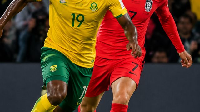 Excitement Builds for South Africa vs South Korea World Cup Clash | mutiara 777, aman toto togel, sensa 777 slot login, joki188, rtp mos777, online blackjack mit echtem geld, madu99 link alternatif